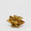 Květ magnolie -zlatý - malý
