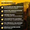 Kovový kanystr 5 L s výlevkou