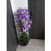 Umělá květina Orchidea v květináč 120 cm, fialová